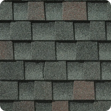 Fox Hollow Gray
